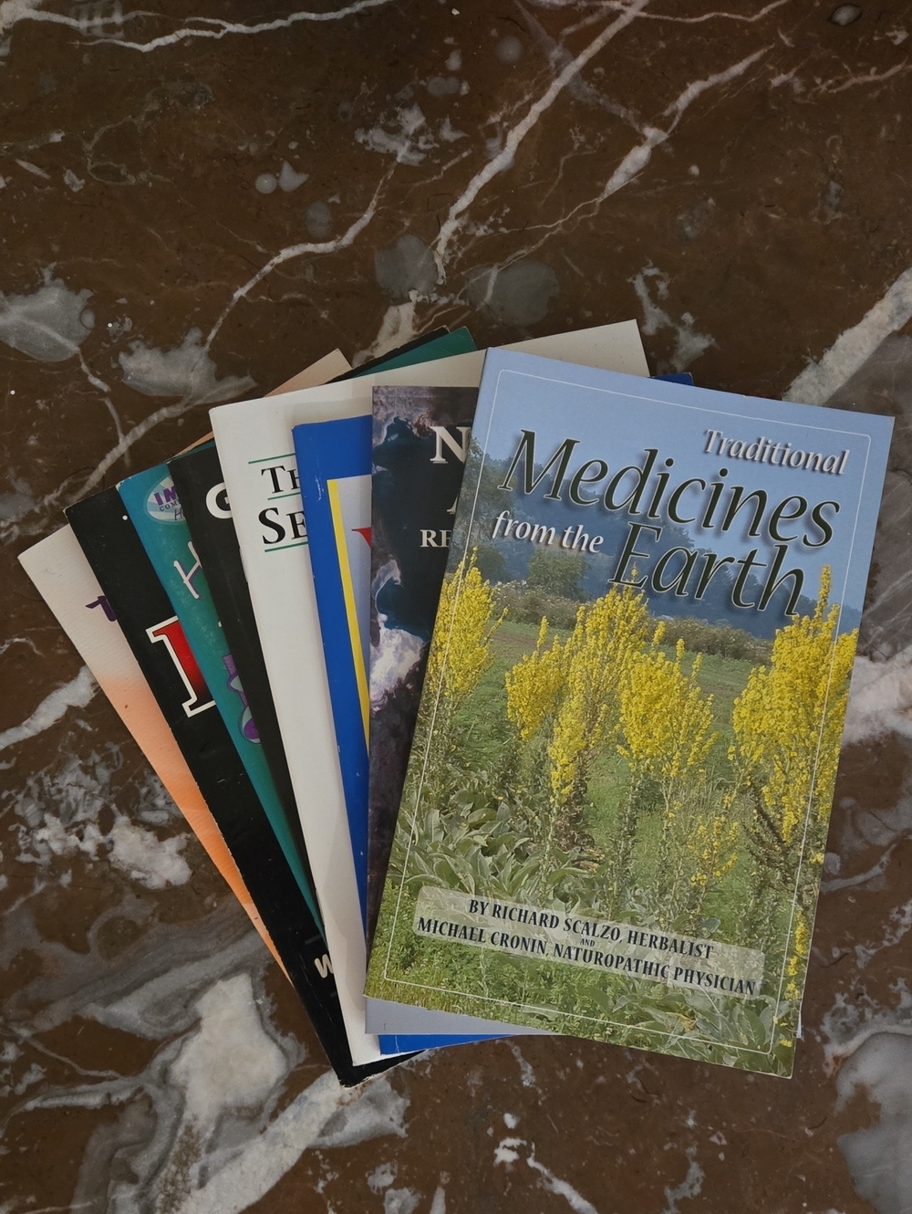 Lot of 8 Self Health & Wellness Information Books & Thick Pamphlets